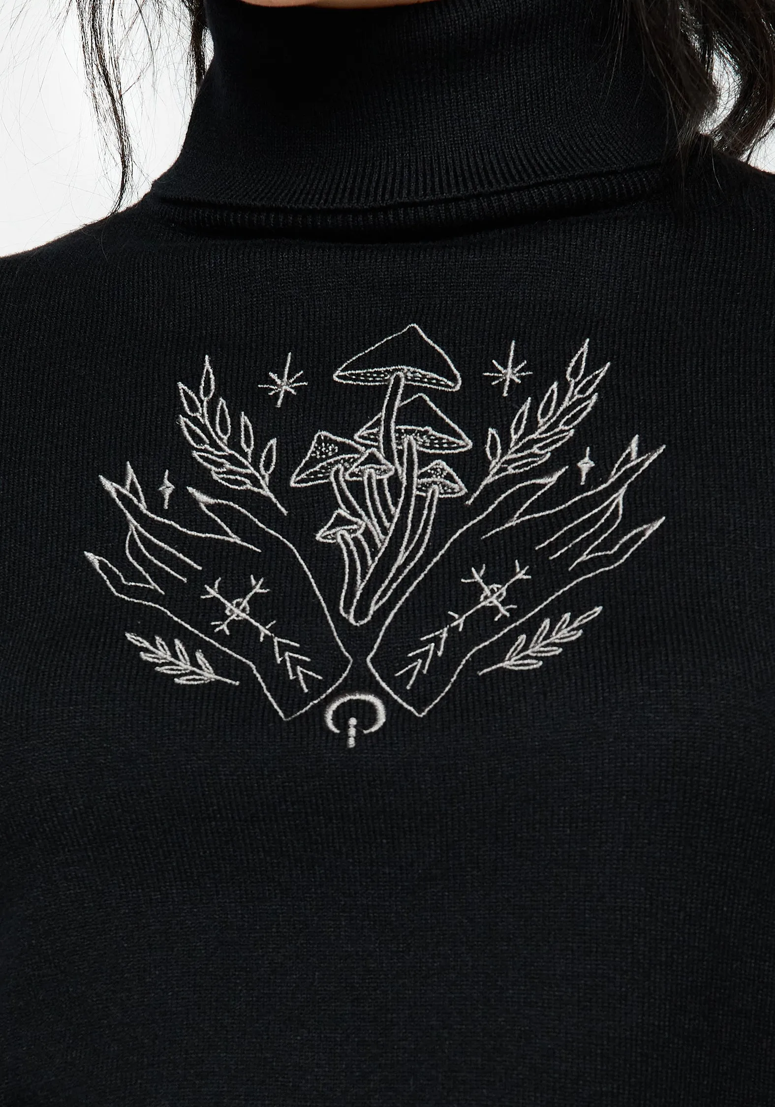 Mystify Embroidered Roll Neck Crop Sweater